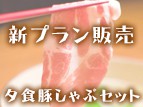新しいプラン販売開始のお知らせ