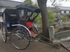 ホテルから人力車で美観地区の観光をお楽しみ頂けます