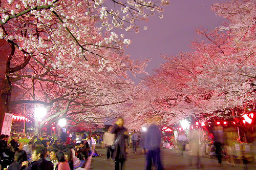 上野公園