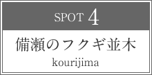 備瀬のフクギ並木 kourijima