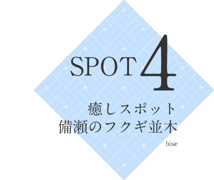 SPOT4 癒しスポット備瀬のフクギ並木 bise